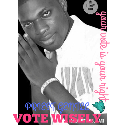 Vote Wisely