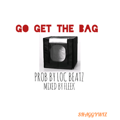 GO GET THE BAG _MIXED BY FLEEK 