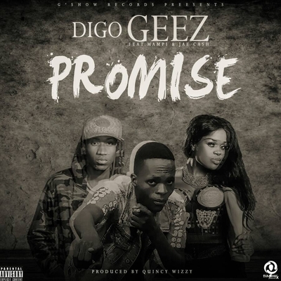 PROMISE