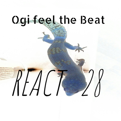 React 28 (full album)