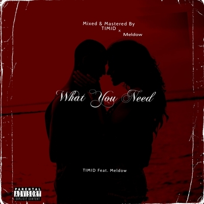 What You Need (Feat. Meldow) 