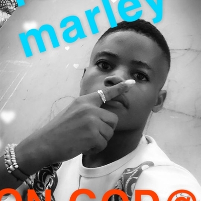 Chronicles of Youngzi Marley