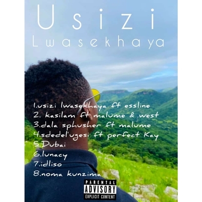 Usizi Lwasekhaya